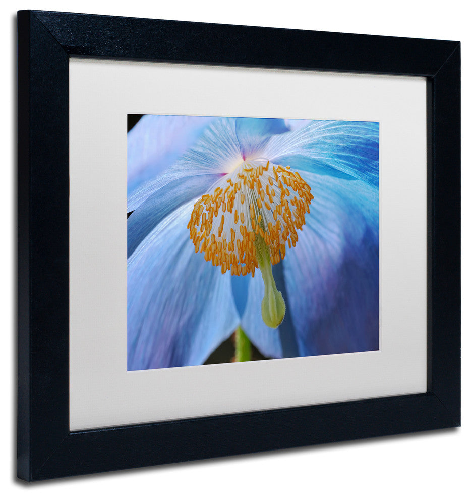 Cora Niele ''Blue Poppy'' Matted Framed Art