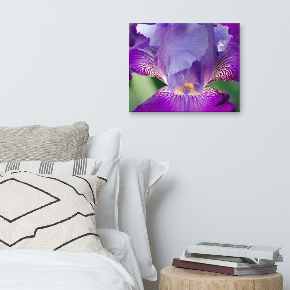 Glowing Iris Floral Nature Photography Canvas Wall Art Print, 16" X 20"