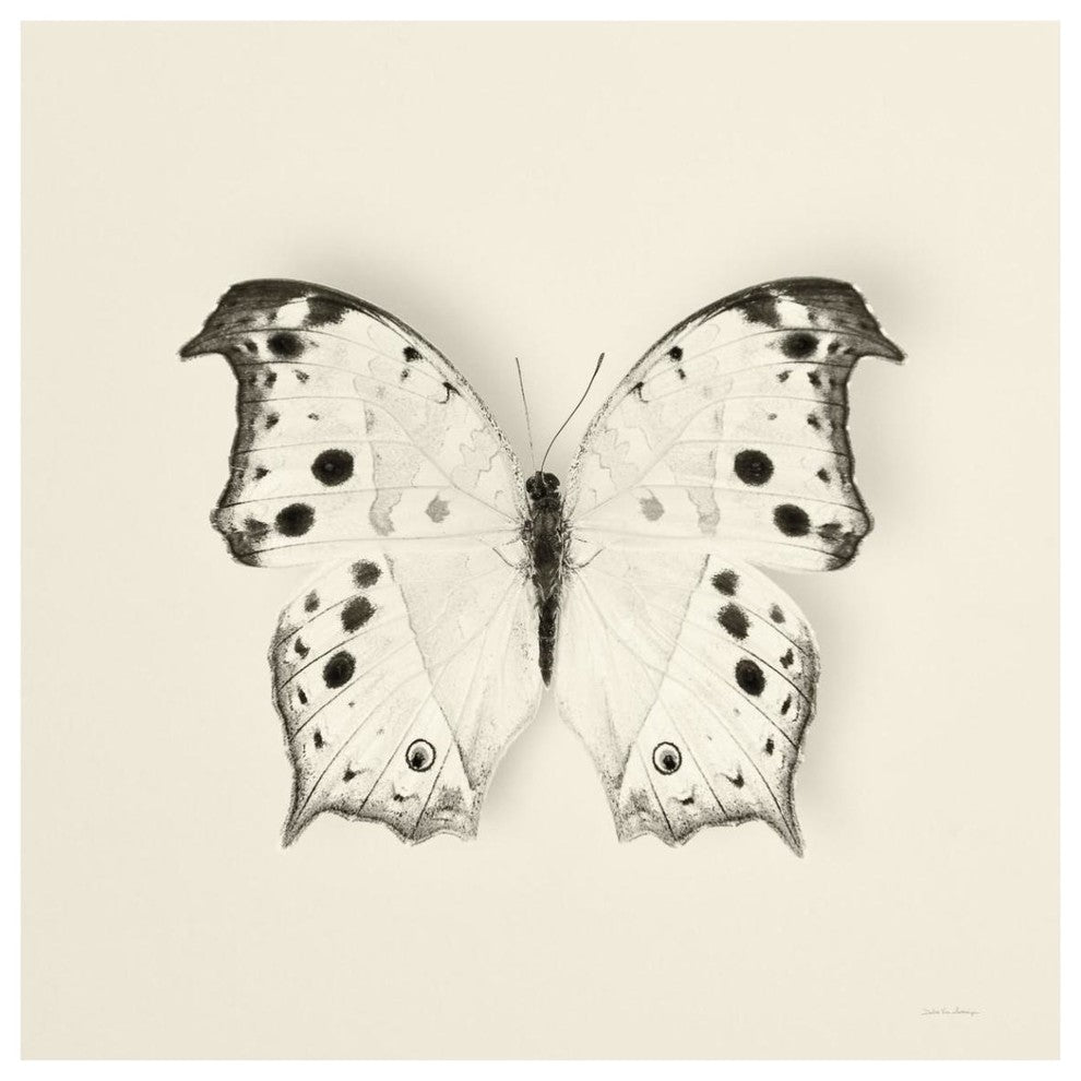 "Butterfly IV - BW" Digital Paper Print by Debra Van Swearingen, 42"x42"