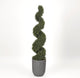 Spiral Rosemary Topiary, Round Gray Planter