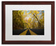''Autumn Along the Valley Parkway'' Matted Framed Canvas Art by Kurt Shaffer