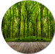 Room Interior In Forest, Landscape Contemporary Round Wall Art, 11"