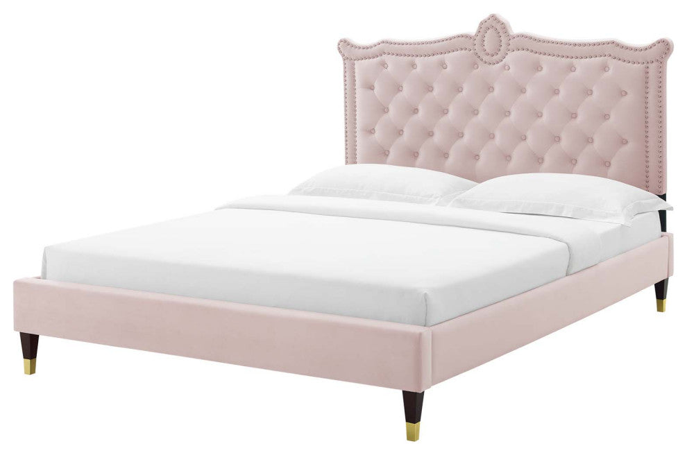 Platform Bed Frame, Nailhead, Queen Size, Pink, Velvet, Modern, Guest Suite