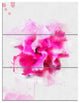 Beautiful Red Flower with Color Splashes, Floral Canvas Print, 28x36, 3 Panels
