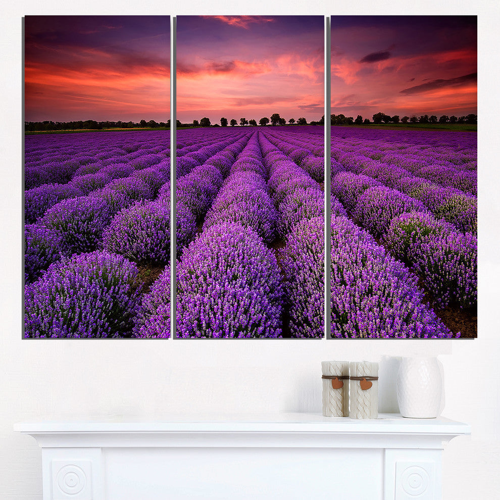 "Red Sunset Over Lavender Field" Metal Wall Landscape, 3 Panels, 36"x28"