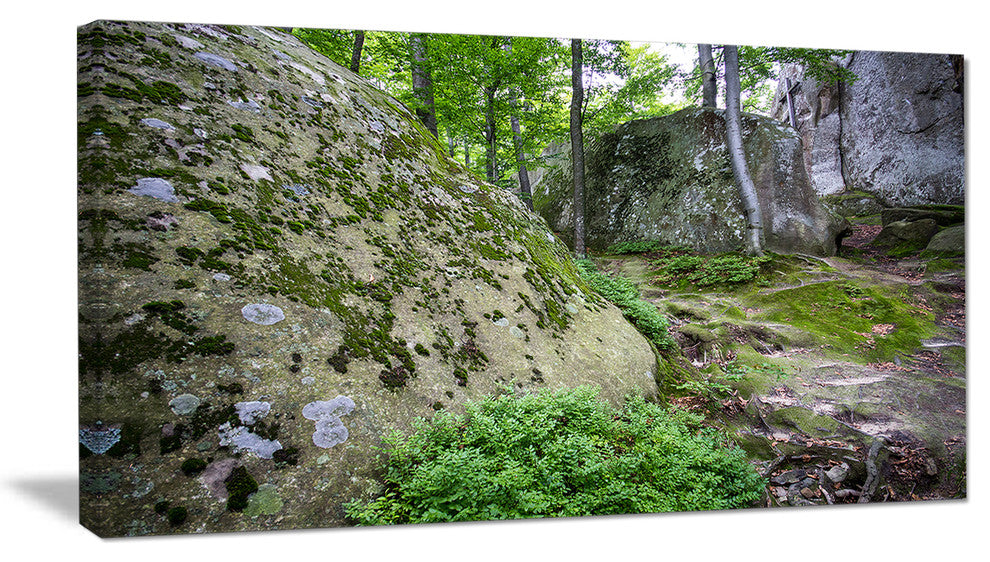 "Rocky Deep Moss Forest Ukraine" Landscape Art Print Canvas, 32"x16"