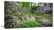 "Rocky Deep Moss Forest Ukraine" Landscape Art Print Canvas, 32"x16"