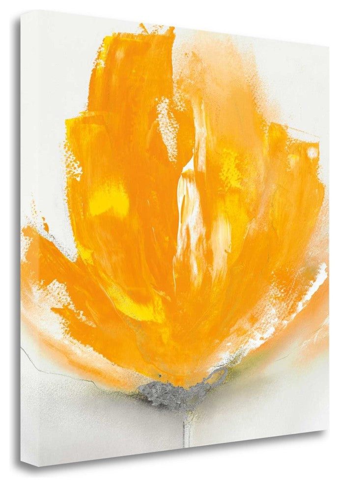 "Wild Orange Sherbet II" By J.P. Prior, Giclee Print on Gallery Wrap Canvas