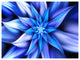 Dancing Blue Flower Petals, Floral Canvas Art Print, 40"x30"