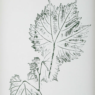 Uttermost Nature's Script Framed Botanical Prints Set of 9