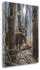 "Woodland Sentry Buck" By Kevin Daniel, Giclee Print on Gallery Wrap Canvas