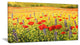 "Sea of Blossom" Canvas Print