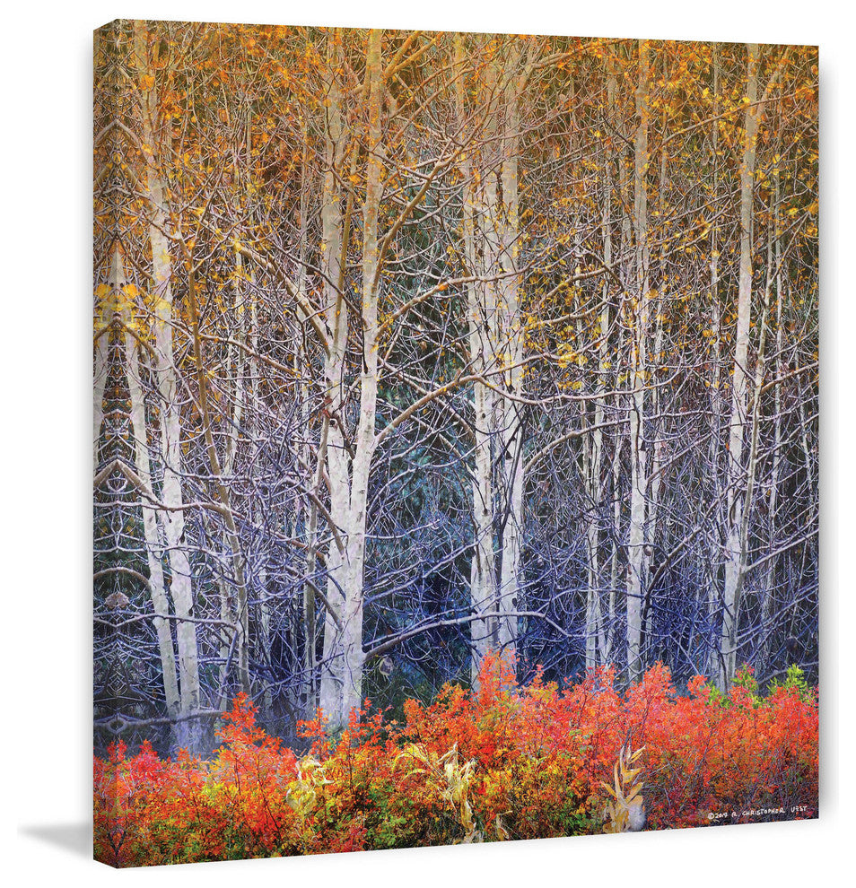 "Aspens and Briar" Painting Print on Canvas by Chris Vest