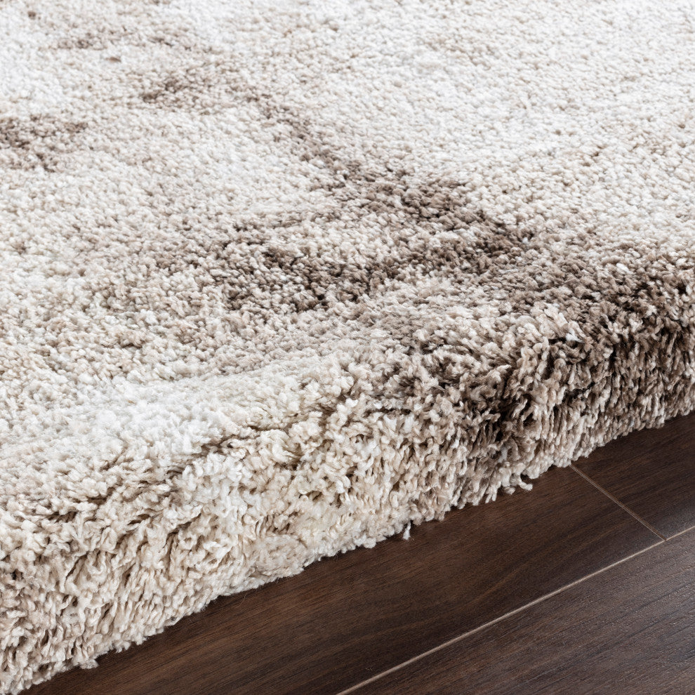 Noori Rug Shag Clark Beige/Brown Rug