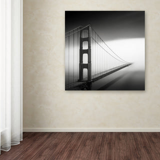 'Into The Mystic' Canvas Art by Dave MacVicar
