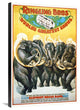Ringling Bros, The Funny, Wonderful Elephant Brass Band, 1899, 20x30