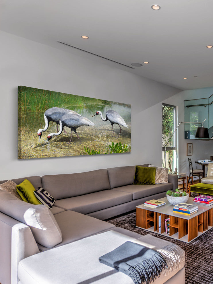 "White Naped Cranes" Painting Print on Canvas by Chris Vest