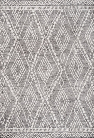 Rih Moroccan Style Diamond Gray/Ivory 4'x6' Area Rug