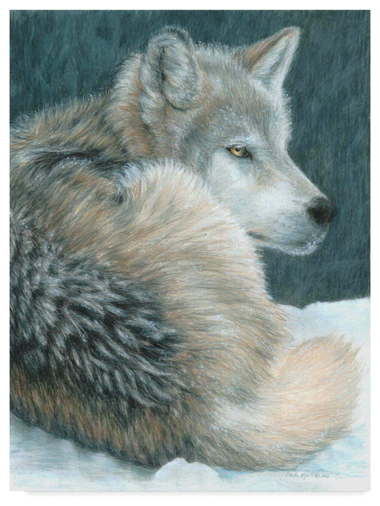 Carla Kurt ''Cold Evening'' Canvas Art