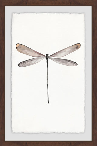 "Tall Dragonfly" Framed Painting Print, 24"x36"