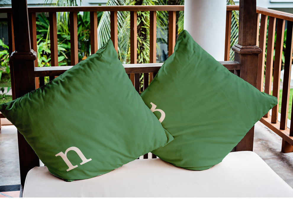 20" x 20" Modern Monogram Indoor/Outdoor Polyester Throw Pillow, Sage