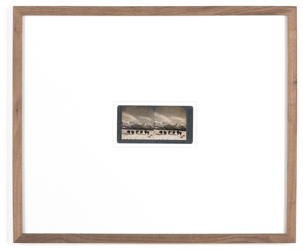 Monarch Of The Plain By Gold Rush Art Co