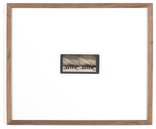 Monarch Of The Plain By Gold Rush Art Co