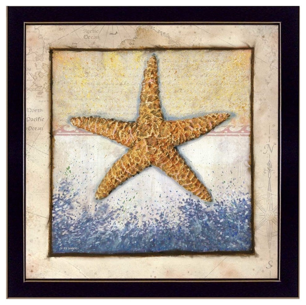 "Starfish" By Ed Wargo, Printed Wall Art, Ready To Hang, Black Frame