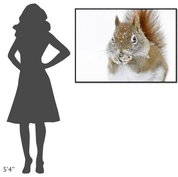 "Christmas Squirrel" Framed Canvas Giclee by Mircea Costina, 41x31"
