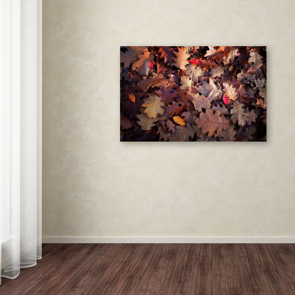 'Goofy Leaves' Canvas Art by Philippe Sainte-Laudy