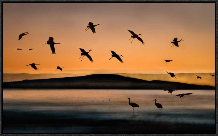 "Fly-In At Sunset" Framed Canvas Giclee by Shenshen Dou, 31x19"
