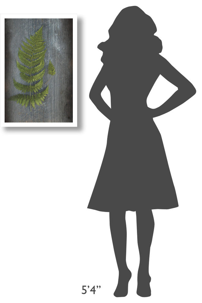 "Woodland Fern V" Digital Paper Print by Sue Schlabach, 18"x26"