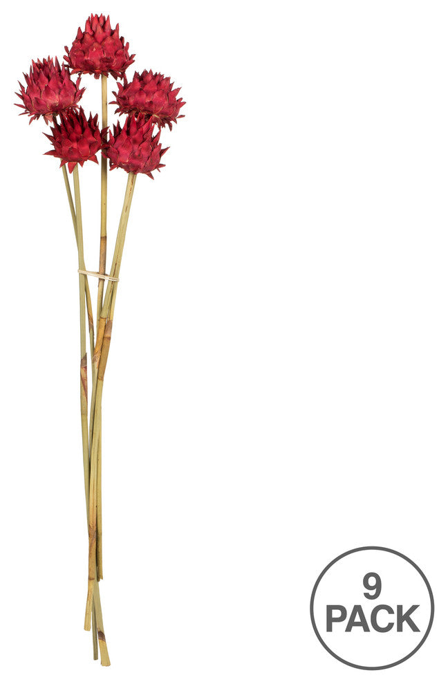 Vickerman 15" Artichoke Head With Reed Stem, Dried