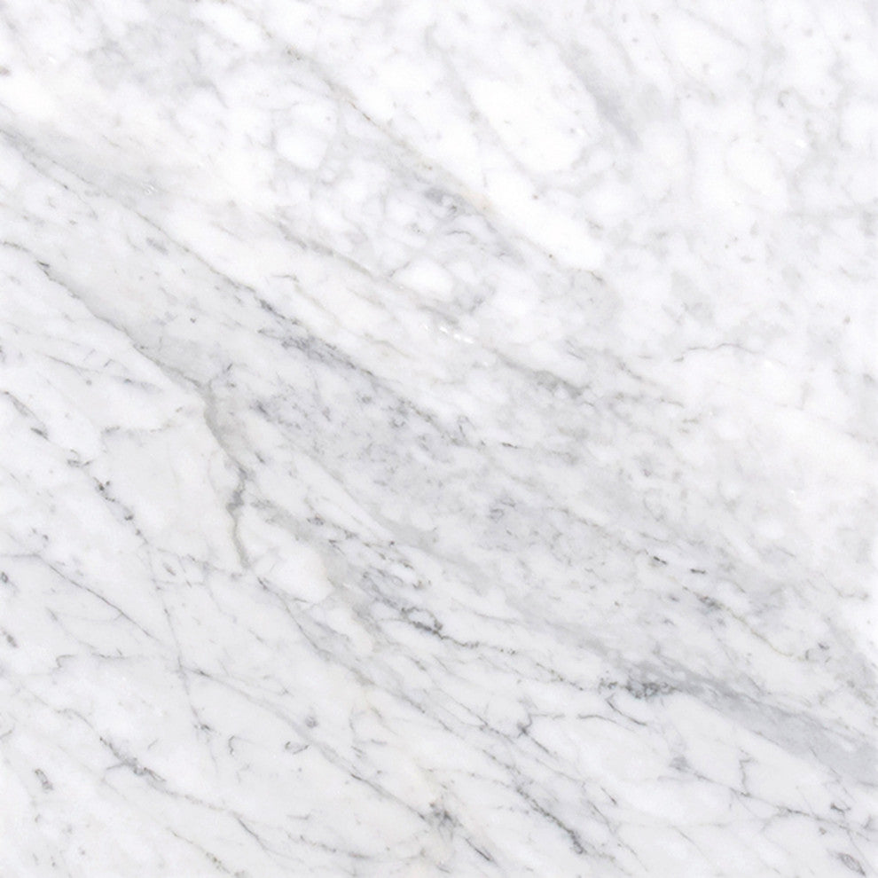 MSI T1212-V3 12" x 12" Square Floor and Wall Tile - Polished - Carrara White