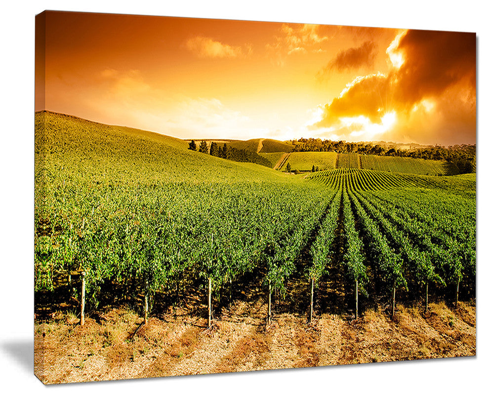 "Sunset Vineyard Panorama" Wall Art Landscape, 40"x30"
