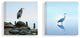 BHeron Ocean Animal Photograph 2-Piece Set, 24"x24"
