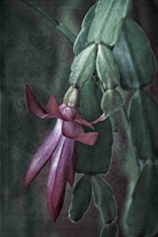 "Time Infusion" Painting Print on Canvas by Robertson