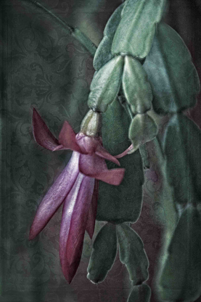"Time Infusion" Painting Print on Canvas by Robertson