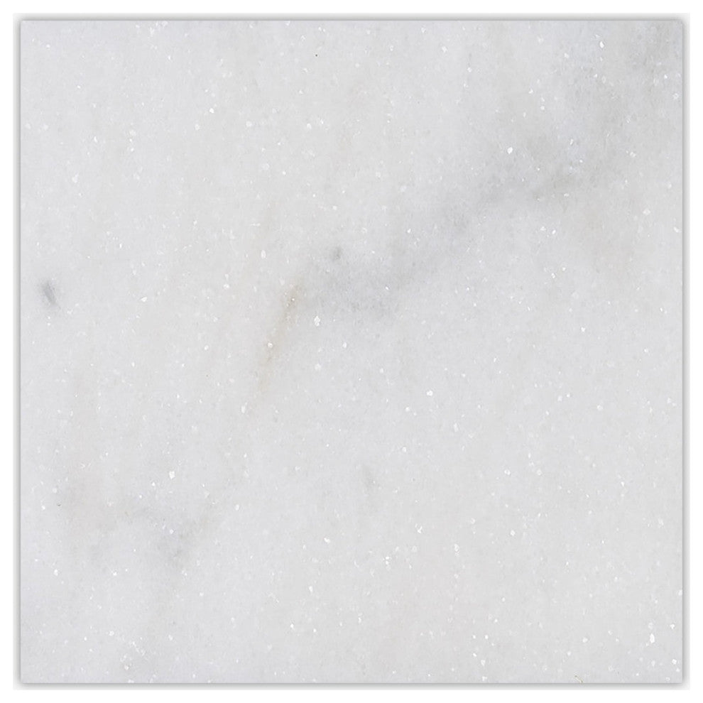 Carrara T Polished 12x12 Marble Tile