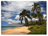 'Kamaole Tropical' Canvas Art by Pierre Leclerc