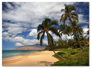 'Kamaole Tropical' Canvas Art by Pierre Leclerc