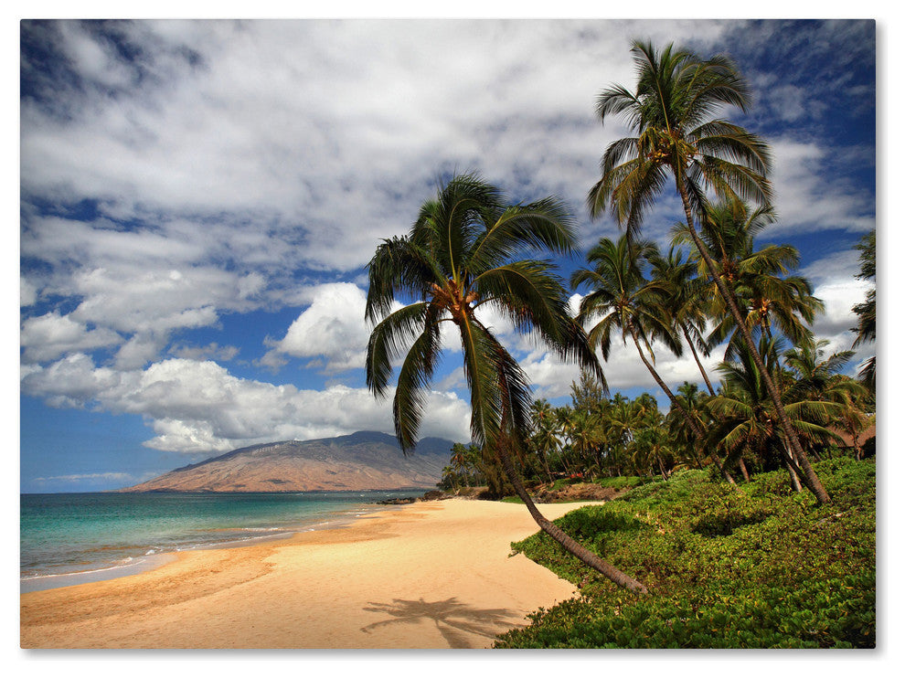 'Kamaole Tropical' Canvas Art by Pierre Leclerc