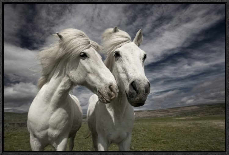 "Inseparables" Framed Canvas Giclee by Bragi Ingibergsson, 25x17"