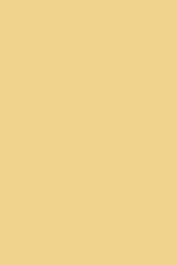 Dorset Cream Full Gloss Paint