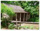 Audrey ''Old Cabin In Woods'' Canvas Art