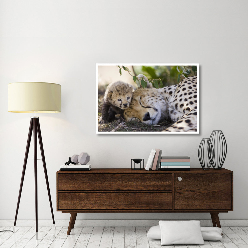 "Cheetah mother and seven day old cub, Maasai Mara Reserve" Paper Art, 50"x34"