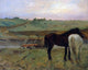 Edgar Degas Horses in a Meadow, 20"x25" Wall Decal