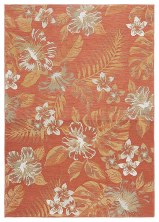 Safavieh Sunrise Collection SUN671 Indoor-Outdoor Rug, Ivory/Rust Sage, 4'x5'7"