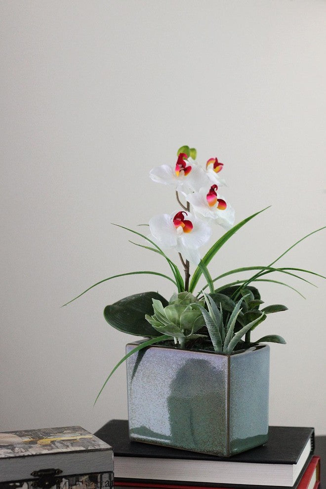 12" Spring Time Easter Orchid and Succulents Artificial Floral Arrangement