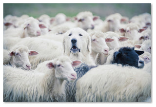 Adrian Popan 'In Disguise' Canvas Art, 47 x 30